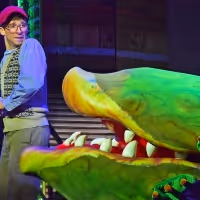 Photo Flash: First Look at Beef & Boards' LITTLE SHOP OF HORRORS