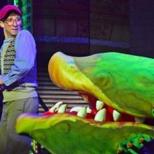 Photo Flash: First Look at Beef & Boards' LITTLE SHOP OF HORRORS