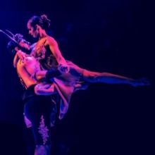 MATADOR Returns To Melbourne