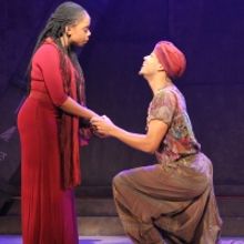 Photo Flash: First Look At AIDA At White Plains Performing Arts Center