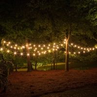 Arbour Festival Announced in Snowy Valley