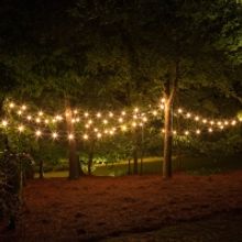 Arbour Festival Announced in Snowy Valley