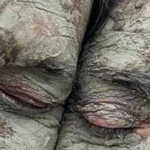 Ann Carlson and InkBoat Collaborate On New Show at ODC Theater Next Month