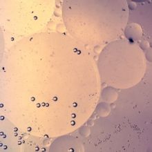 Jillian Walker's THE WHITNEY ALBUM Premieres at Soho Rep in May