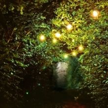 BWW Review: REWIRING EDEN at Capital Fringe Festival