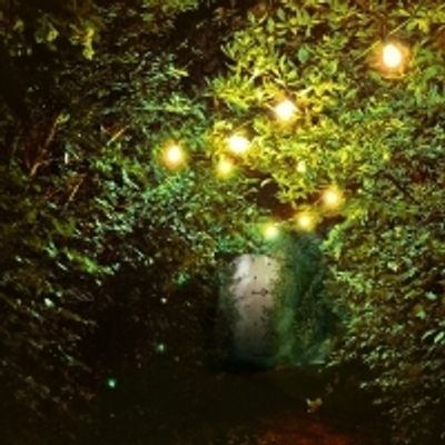 BWW Review: REWIRING EDEN at Capital Fringe Festival