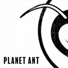 Michigan Stage & Planet Ant Will Present LOOKING BACK THROUGH STAINED GLASS