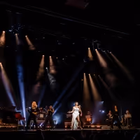 Photos: Ariana DeBose Performs at the London Palladium