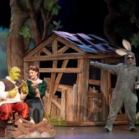 CMT Mainstage Presents SHREK, February 28-March 8