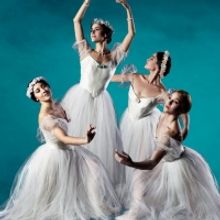 Milwaukee Ballet Sells Out In Person Tickets For TO THE POINE