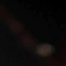 PICT Heats Up Midwinter With A MIDSUMMER NIGHT'S DREAM