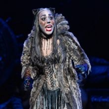 CATS Comes To Bank Of America Performing Arts Center In May!