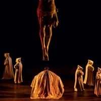 LA FORZA DEL DESTINO is Now Playing at Opera National de Paris
