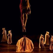 LA FORZA DEL DESTINO is Now Playing at Opera National de Paris