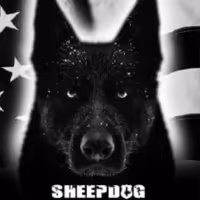 Contemporary American Theatre Festival Announces PlaycastPlus