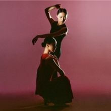 Hong Kong Dance Presents Anthology of Korean Folk Dance Myth of the Dancing Durumi