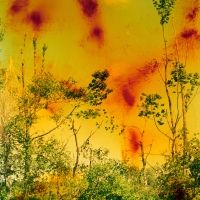 MoMA To Present New York's First Comprehensive Museum Survey Of Wolfgang Tillmans