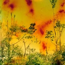 MoMA To Present New York's First Comprehensive Museum Survey Of Wolfgang Tillmans
