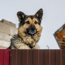 YES SO I SAID YES Opens at the Finborough Theatre Next Month