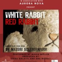 WHITE RABBIT RED RABBIT Comes to Theater for the New City in March