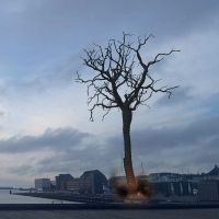EIWAZ TREE OF LIFE Comes to DET KGL. Teater