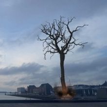 EIWAZ TREE OF LIFE Comes to DET KGL. Teater