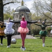 WATCH: NYC Ballet Dancers Perform at the Bronx Zoo For Earth Day