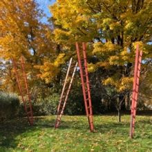Kaatsbaan Cultural Park Announces Spring Festival Casting, Offers Online Access To…
