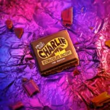 CHARLIE AND THE CHOCOLATE FACTORY Comes to Leeds Playhouse in November