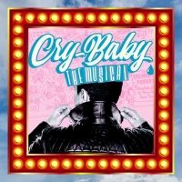 BWW Review: Roxy Regional Theatre's CRY-BABY: THE MUSICAL Serves Up Swell Summer Fun
