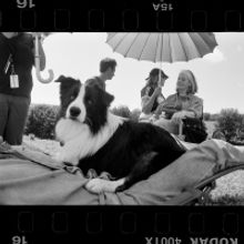 Jeff Bridges and Susan Bridges Exhibitions Open October 22