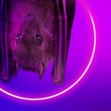 Lydia West Will Lead the UK Premiere of A PLAY FOR THE LIVING IN A TIME OF EXTINCTION