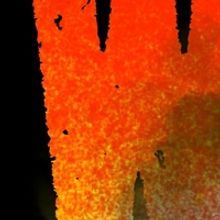 Company of Angels Presents WHAT'S GOING ON? A Virtual Play Festival