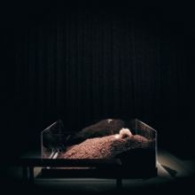 Photos: Nervous Theatre Presents Beckett's TEXTS FOR NOTHING