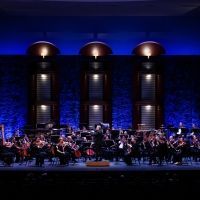 Palm Beach Symphony Renews Leadership Ahead of 50th Anniversary