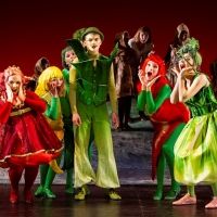 Operaen Presents PURRIOT AND THE LOST BRONZE HORSE