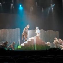 STORM is Now Playing at the Nissay Theatre