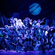 Photo Flash: Get a First Look at CATS in South Korea, Starring Joanna Ampil