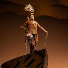 Photos: First Look at New Cast Members of THE LION KING North American Tour!