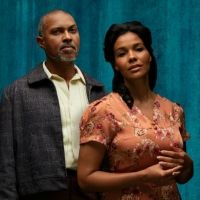 STC Announces Performance Updates For A RAISIN IN THE SUN and FANTASTIC MR. FOX