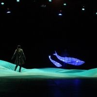 Proyecto Perla Presentará Cuatro Puestas En Escena, Dos Mesas De Diálogo Y Un Taller…