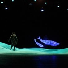 Proyecto Perla Presentará Cuatro Puestas En Escena, Dos Mesas De Diálogo Y Un Talle