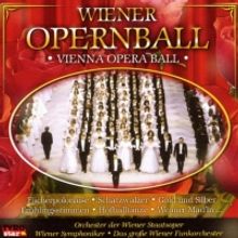 Austrian Government Cancels the Wiener Opernball Due to COVID-19 Risk