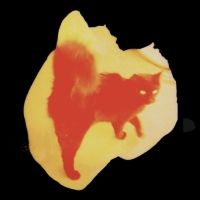 Times Square Arts Presents Jennifer West's Painted Cat Hacker Film for August…