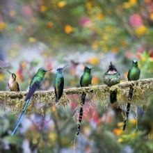 PB PHOTO CENTRE Annual Members' Show Opens September 2