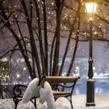 The ENO Presents The UK Premiere & Operatic Adaptation of IT'S A WONDERFUL LIFE