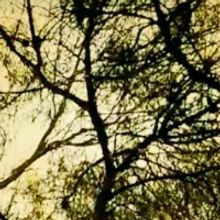 Nanook Will Showcase 'Primavera 2' EP at Teatro das Figuras Next Month