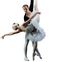 The United Ukrainian Ballet will arrive in Australia this October to perform SWAN LAKE