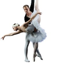 The United Ukrainian Ballet will arrive in Australia this October to perform SWAN LAK