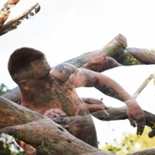 Photos: First Look at Concept Images of JUNGLE BOOK REIMAGINED